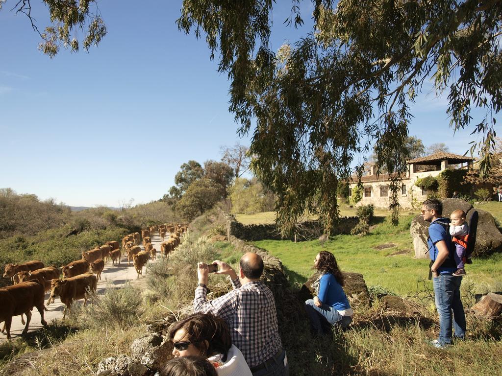 Casa Rural El Cabezo San Martín de Trevejo Kültér fotó